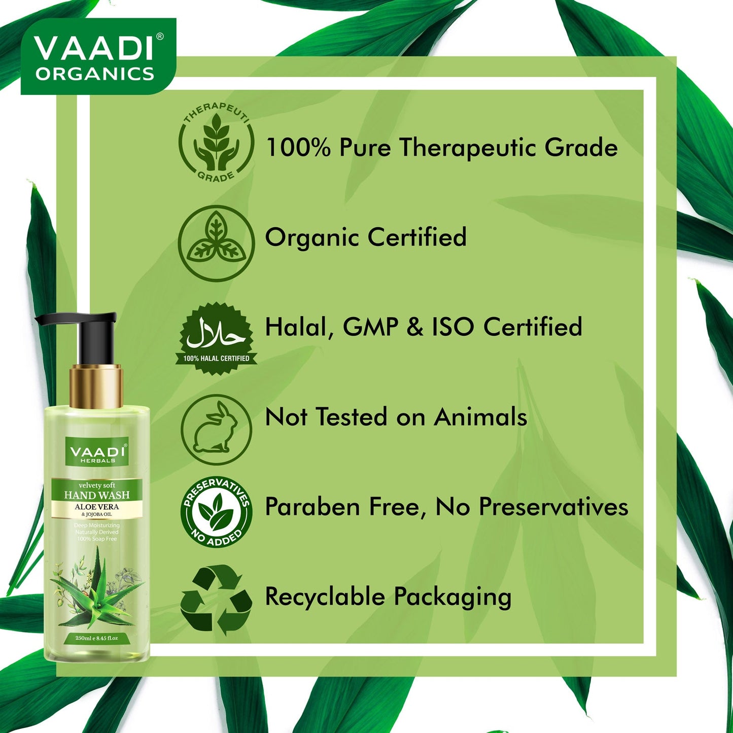 Velvety Soft Aloe Vera & Jojoba Oil Hand Wash (250 ml)