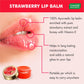 Pack of 4 Lip Balm - Strawberry & Honey (10 gms x 4 )