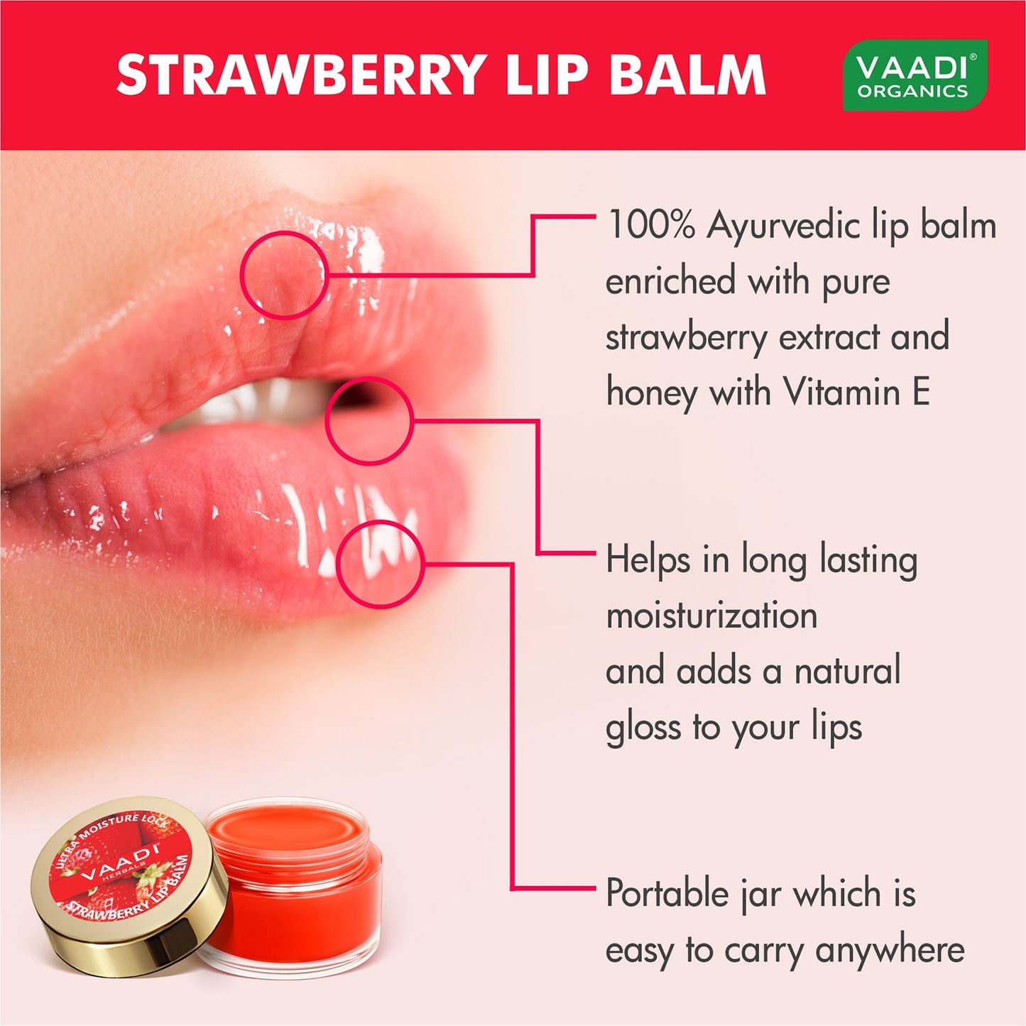 Pack of 4 Lip Balm - Strawberry & Honey (10 gms x 4 )