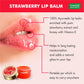 Premium 24 Lip Balm Gift Box (10 gms x 24)