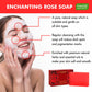 Pack of 12 Enchanting Rose Soap with Mulberry Extract (75 gms x 12)