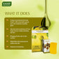 Olive Facial Bar with Cane Sugar Extract (25 gms)