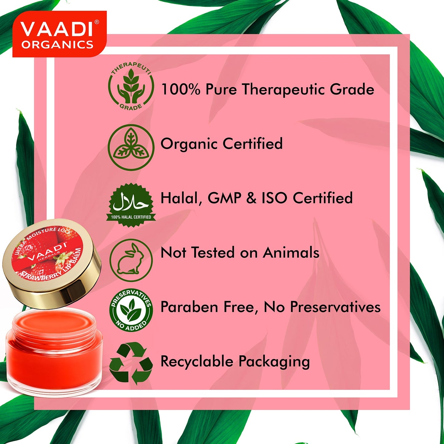 Pack of 4 Lip Balm - Strawberry & Honey (10 gms x 4 )