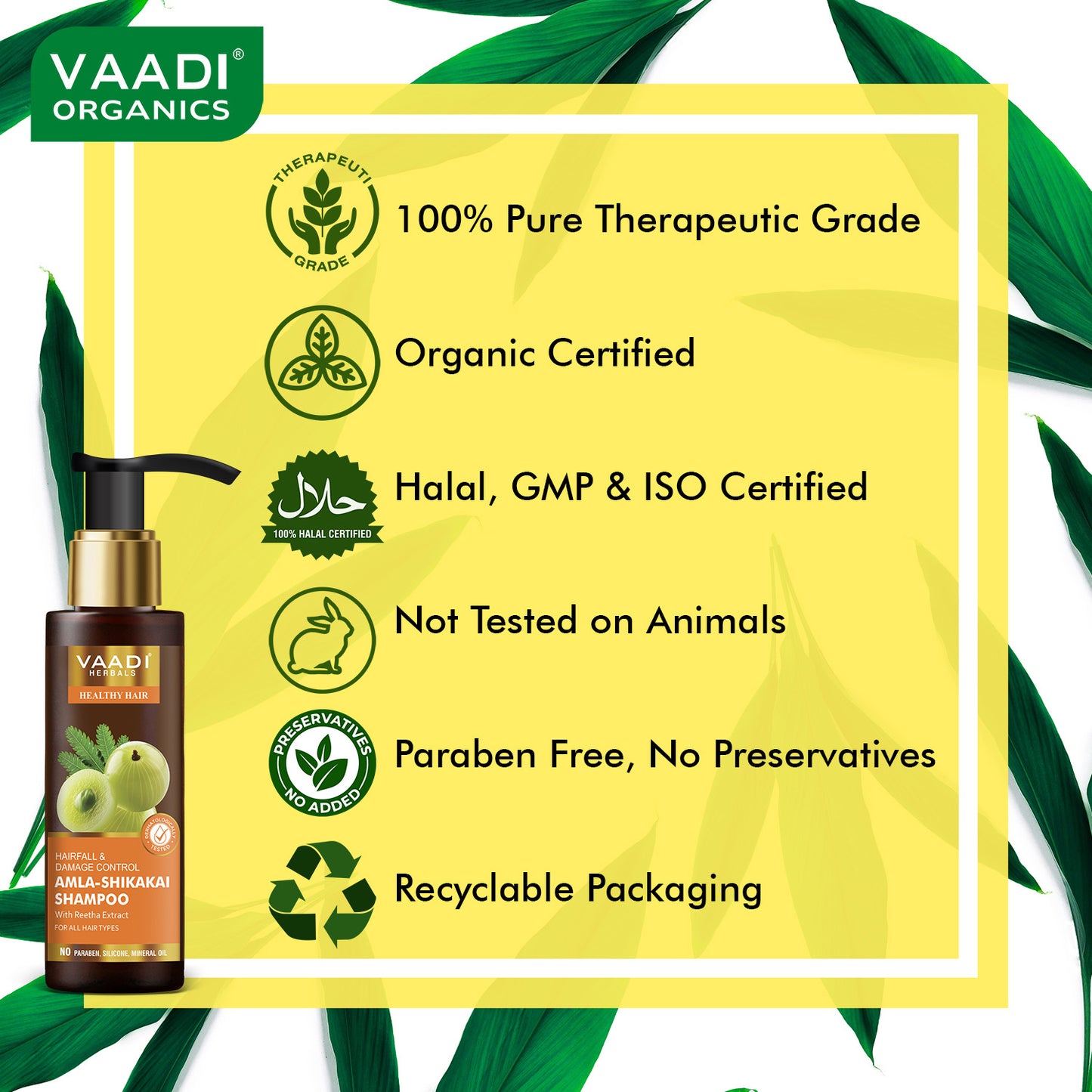 Amla Shikakai Shampoo - Hairfall & Damage Control with Olive Conditioner (110 ml x 2)