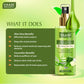 Aloe Vera & Cucumber Mist - 100% Natural Skin Toner (250 ml)
